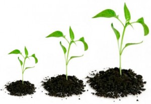Business Growth